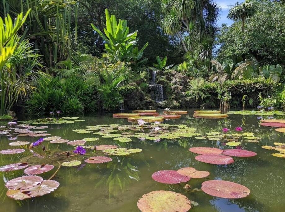 Villa Insta Worthy Oasis Homestead Exterior foto